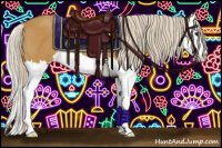 Horse Color:Palomino Splash