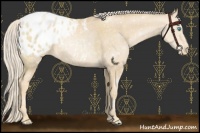 Horse Color:Palomino Pearl Blanket 