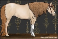 Horse Color:Red Dun Pearl 