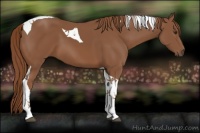 Horse Color:Chestnut Tobiano 
