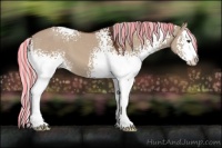 Horse Color:Painted White Spotted Silver Brown Dun Splash 