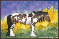 Horse Color:White Spotted Brown Dun Tobiano Brindle