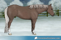 Horse Color:Silver Black Mushroom Sabino 