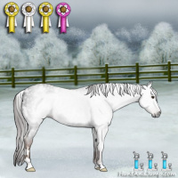 Horse Color:Gray White Spotted Liver Red Roan
