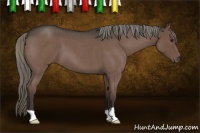 Horse Color:Liver Red Roan Mushroom 