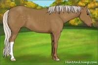 Horse Color:Silver Smoky Black 