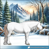 Horse Color:White Spotted Midnight Grullo Ice Tobiano Appaloosa 