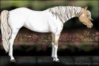 Horse Color:Silver Smoky Grullo Roan Near Fewspot 
