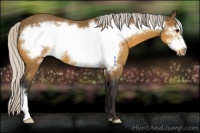 Horse Color:Silver Buckskin Frame 