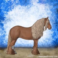 Horse Color:Red Roan 