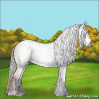 Horse Color:Gray Chocolate Palomino Tobiano 