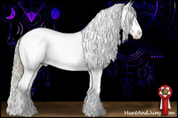 Horse Color:Chocolate Palomino Dun Tobiano Appaloosa Rabicano  and Chocolate Palomino Dun Tobiano Appaloosa Rabicano