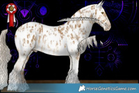 Horse Color:Chocolate Palomino Dun Tobiano Near Leopard Rabicano  and Chocolate Palomino Dun Tobiano Near Fewspot Rabicano 