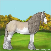 Horse Color:Liver Red Dun Roan Splash 