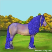 Horse Color:Watercolor Buckskin Varnish 