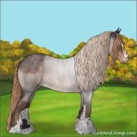 Horse Color:Liver Red Roan Sabino 