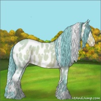 Horse Color:Watercolor White Spotted Liver Red Dun Appaloosa Rabicano