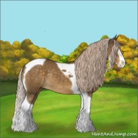 Horse Color:Chocolate Palomino Splash Tobiano Rabicano