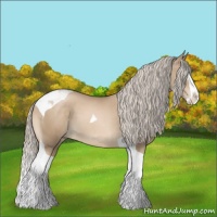 Horse Color:Chocolate Palomino Pearl Sabino Splash Tobiano 