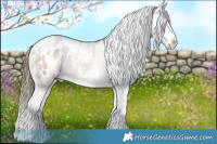 Horse Color:White Spotted Buckskin Roan Splash Appaloosa