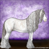Horse Color:Liver Chestnut Sabino Splash Appaloosa  and White Spotted Liver Red Dun Splash Appaloosa