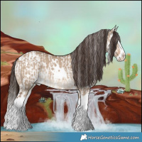 Horse Color:White Spotted Liver Red Dun Appaloosa  and White Spotted Liver Red Dun Splash 