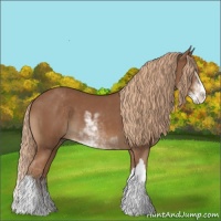 Horse Color:Chestnut Sabino 