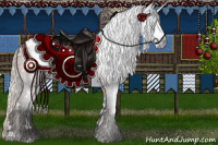 Horse Color:Gray White Spotted Silver Brown Rabicano 