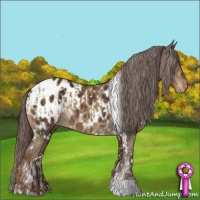 Horse Color:Chocolate Palomino Tobiano Varnish  and White Spotted Liver Chestnut Near Leopard 