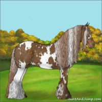 Horse Color:White Spotted Chocolate Palomino 