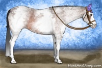Horse Color:White Spotted Brown Roan Splash 