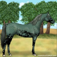 Horse Color:Void Watercolor Chocolate Palomino Splash 