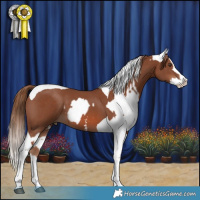 Horse Color:Red Roan Splash Varnish  and Chestnut Sabino Splash Tobiano 