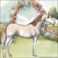 Horse Color:White Spotted Buckskin Pearl Sabino Splash 
