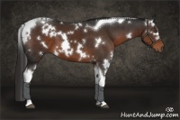 Horse Color:White Spotted Liver Chestnut Tobiano 