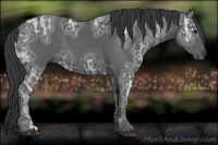 Horse Color:Black Ice 
