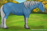 Horse Color:ERROR: UNKNOWN ANOMALY