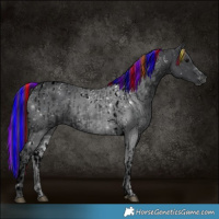 Horse Color:Painted Black Tobiano  and Void Painted Black 