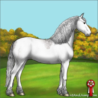 Horse Color:Gray Bay Splash Tobiano 
