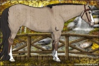 Horse Color:Liver Red Dun Roan Sabino Brindle