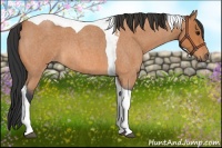 Horse Color:Bay Roan Tobiano 