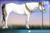 Horse Color:Bay Roan Blanket 