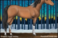 Horse Color:Bay Roan Tobiano 