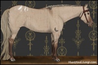Horse Color:Liver Red Dun Appaloosa Brindle