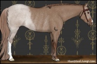Horse Color:Liver Red Dun Rabicano 