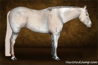 Horse Color:White Spotted Silver Sable Champagne Ice Dun 