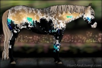 Horse Color:White Spotted Chocolate Palomino Onyx Splash 