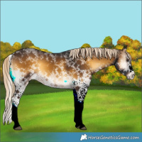 Horse Color:White Spotted Chocolate Palomino Onyx Splash 
