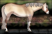 Horse Color:Silver Bay Onyx 