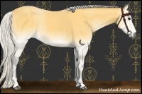 Horse Color:Silver Buckskin Onyx 